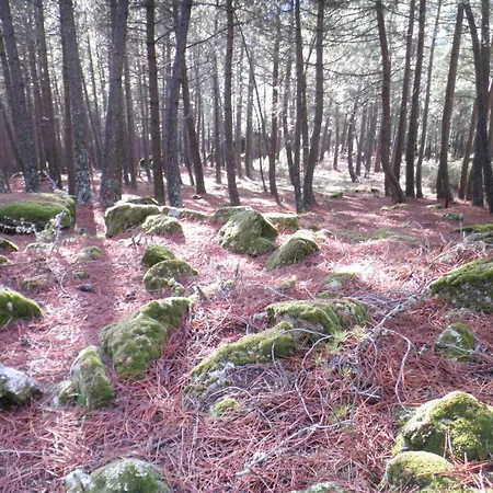 בית נופש La Chova *