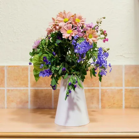 La Chova בית נופש פיידרלבס